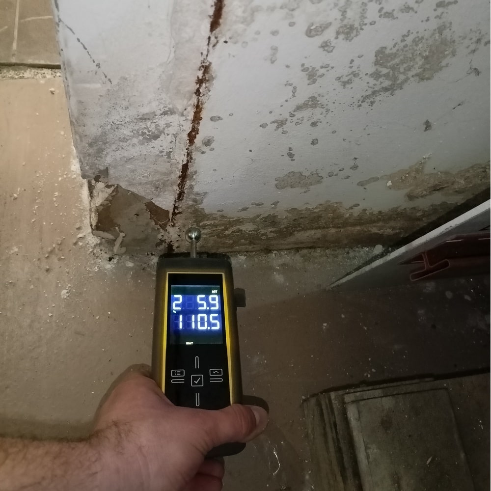 Usuwanie pleśni i grzyba H2O Badura Rzeszów 1000 x 1000-min Pleśń i grzyb po zalaniu H2O Badura Rzeszów
